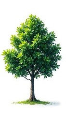 Fototapeta premium Dense foliage surrounds a single tree on a stark white background, solitude, isolated tree, minimalist