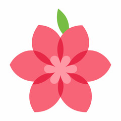 Fototapeta premium pink flower isolated on white