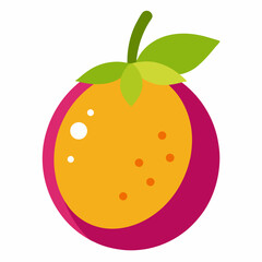 vector illustration of an orange fruit