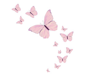 pink butterfly waterolor paint brush