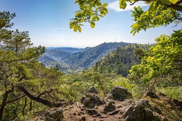 Scenic Viewpoint Over Rolling Green Hills and Forests