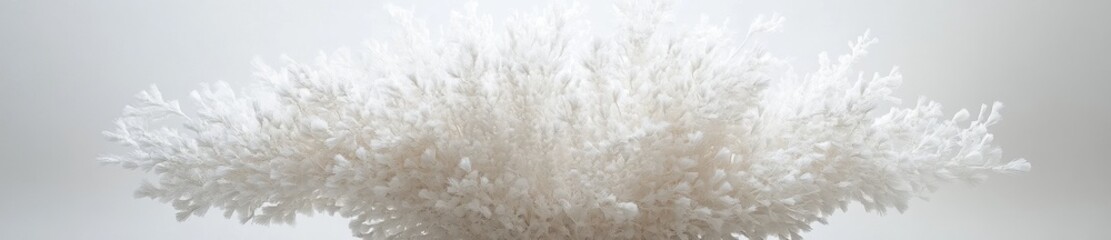 White pampas grass bouquet, studio shot, minimalist background, wedding decor