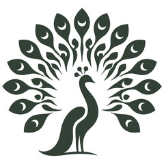 Elegant Peacock Tail Feather Design:  A Regal Bird Illustration