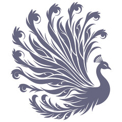 Elegant Peacock Tail Feather Design: Vintage Bird Illustration