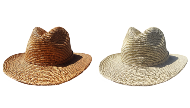 Two Straw Hats on Transparent Background
