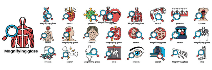 A Set of illustrations in the concept of magnifying glasses and medical equipment in a line style