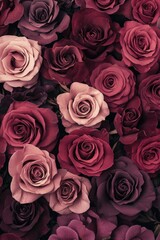 Obraz premium A beautiful bunch of vibrant purple roses set against a black background