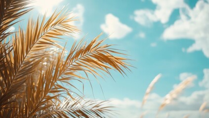 A picturesque beach featuring palm leaves and the vast ocean in the background