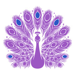 Purple Peacock: Elegant Bird Feather Design