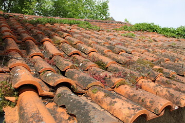 Toiture à nettoyer, avec mousses et lichens