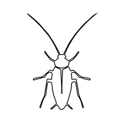 white cockroach icon
