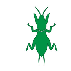 green mole cricket icon