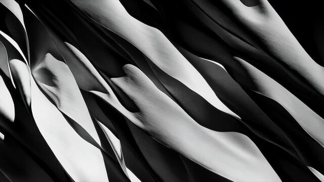 A black and white photo of a zebra print