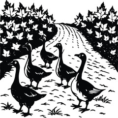 Duck silhouette set collection isolated on white background vector illustration
