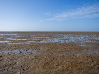 Vast Mudflat Under Clear Sky with Reflective Patches of Water