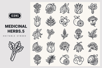 Medicinal herbs icon set. Rhodiola, Ylang Ylang, Fennel, Cacao, Pine Needle, Blueberry, Rhubarb Root, Yellow Dock, Angelica, Bitter Orange, silhouette icons.