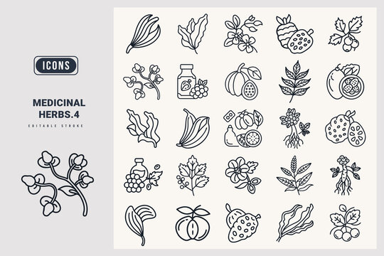 Medicinal herbs icon set. Plantain, Bacopa, Dulse, Grape Seed Extract, arjuna fruit, Noni, Catuaba, Catuaba Benefits, Siberian Ginseng, Lemon Verbena, Hawthorn, silhouette icons.