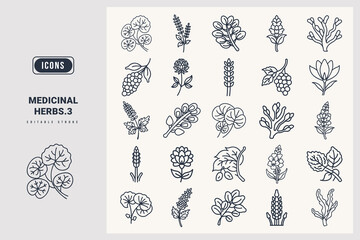 Medicinal herbs icon set. Gotu Kola, Schisandra, Red Clover, Black Cohosh, Horsetail, Moringa, Slippery Elm, Mullein, Bladderwrack, Saffron, silhouette icons.