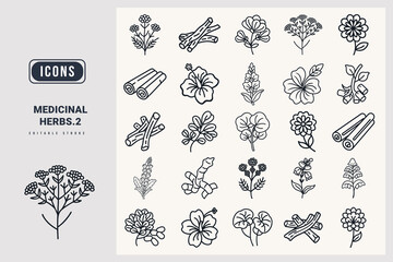 Medicinal herbs icon set Yarrow, Licorice Root, Fenugreek, Cinnamon, Hibiscus, Mullein, Marshmallow Root, Gotu Kola, Red Clover, Skullcap, silhouette icons.