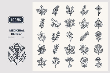 Medicinal herbs icon set Lemon Balm, St. John’s Wort, Rosemary, Thyme, Sage, Dandelion, Milk Thistle, Nettle, Valerian Root, silhouette icons.
