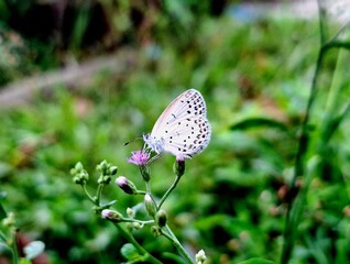 A complete and delicious breakfast