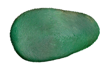 Unique green fingerprint design with intricate patterns and details