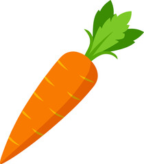 Carrot on white background