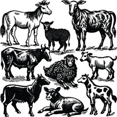 farm animal  set vector collection
