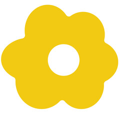 fried egg on a white background