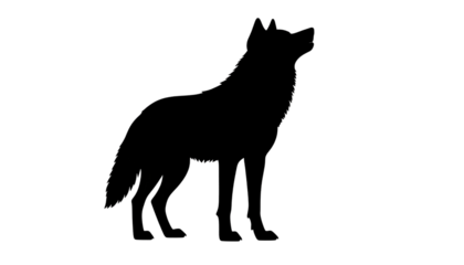 silhouette of a wolf isolated on transparent background