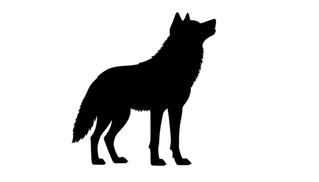 silhouette of a wolf isolated on transparent background