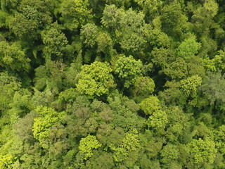 Top View Aerial Photograph