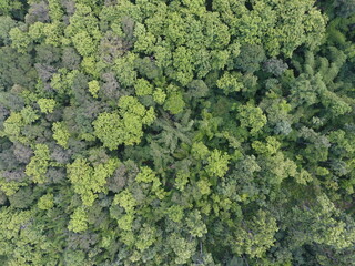 Naklejka premium Top View Aerial Photograph