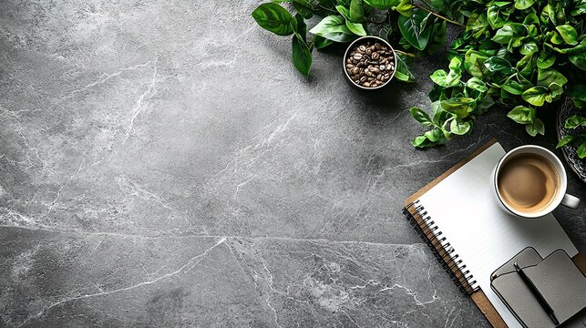 Green plants and coffee on the gray desktop