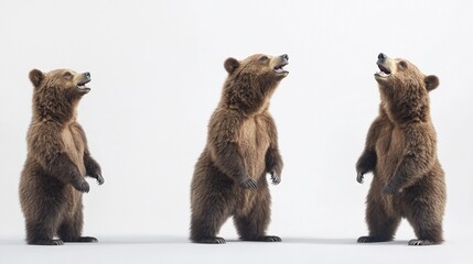 Obraz premium Three brown bears standing upright against a plain background.