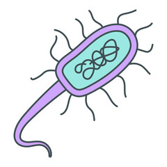 Prokaryotic illustration