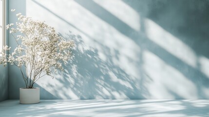 Elegant indoor space with potted plant casting soft shadows