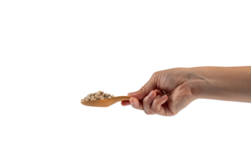 Chickpeas source of natural protein, vitamins and minerals. Healthy diet food on wooden spoon in hand. transparent background.