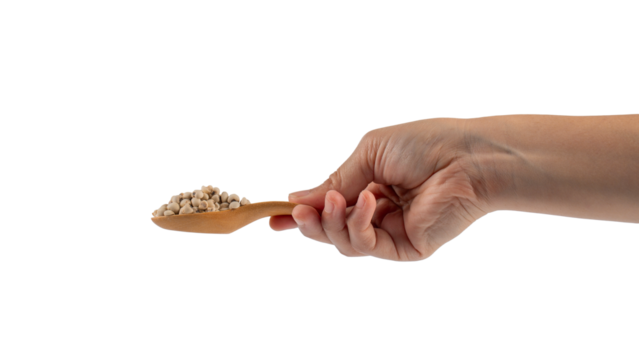 Chickpeas source of natural protein, vitamins and minerals. Healthy diet food on wooden spoon in hand. transparent background. - Powered by Adobe