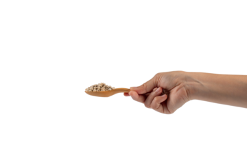 Chickpeas source of natural protein, vitamins and minerals. Healthy diet food on wooden spoon in hand. transparent background.