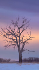 Dark Tree, Pastel Sky