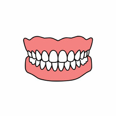 Dentures set, false teeth. The gum colored base and white teeth in a cartoon style