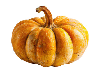 Beautiful pumpkin for autumn decorations and seasonal recipes, cut out