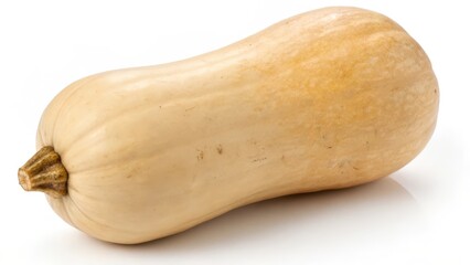 Butternut Squash