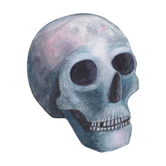 Scull gothic magical texture isolated on white background. Watercolor hand drawn esoterics sketch skull illustration. Art for design mystical halloween witch decoration, scary card