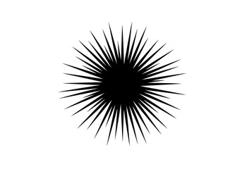 Obraz premium Abstract Black and White Sea Urchin Illustration