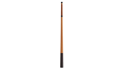 single Pool Cue isolated on white Png