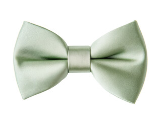 Elegant mint green bow tie for formal occasions and celebrations
