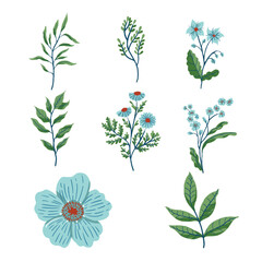 Collection of greenery leaf plants displaying tropical forest herbs in beautiful watercolor style illustrations