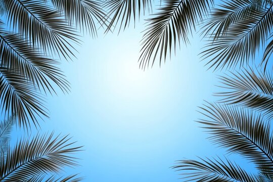 Palm leaves frame a vibrant sky